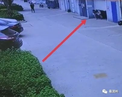 泛亚电竞滨州苗某阳、巩某泽！15岁！被抓！(图4)