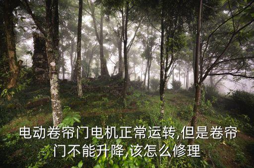 泛亚电竞电动卷闸门维修电动卷闸门怎么维修？(图3)