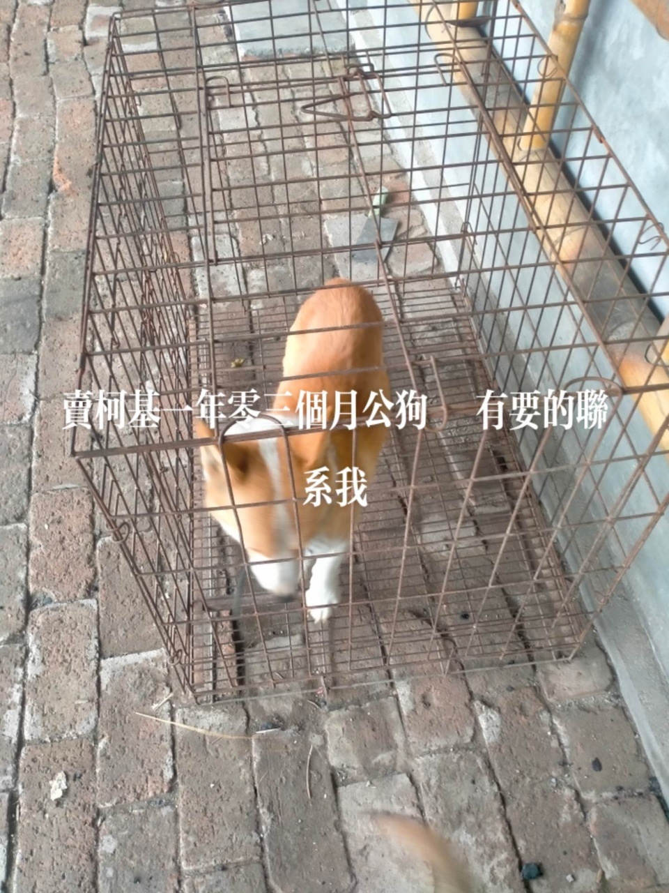 泛亚电竞转让二手卷帘门设备一套