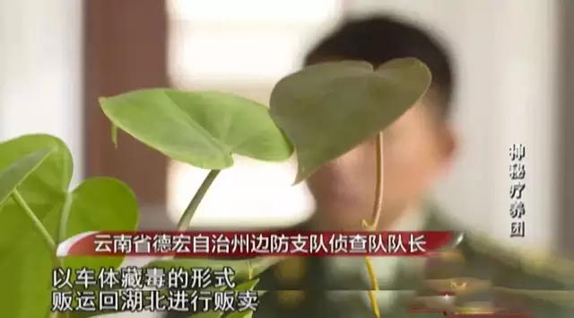 泛亚电竞2017年三辆豪车去云南旅游引起警方怀疑全家12口多人判死刑(图21)