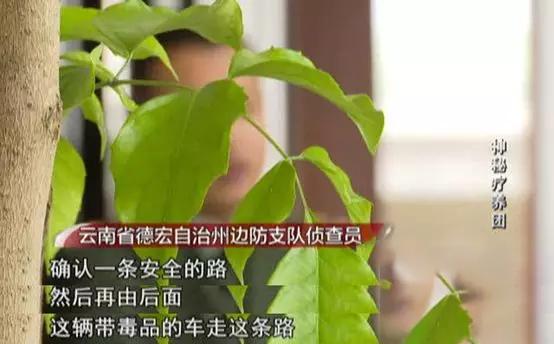 泛亚电竞2017年三辆豪车去云南旅游引起警方怀疑全家12口多人判死刑(图25)