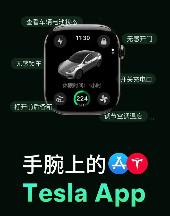 泛亚电竞手表也能遥控开车、车机上能打惯蛋…特斯拉一次新增十几项功能！