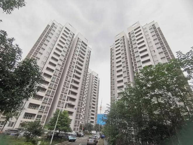 泛亚电竞观音桥惊现数栋鬼楼实地打探惊呆了意外发现观音桥要出新盘！(图9)