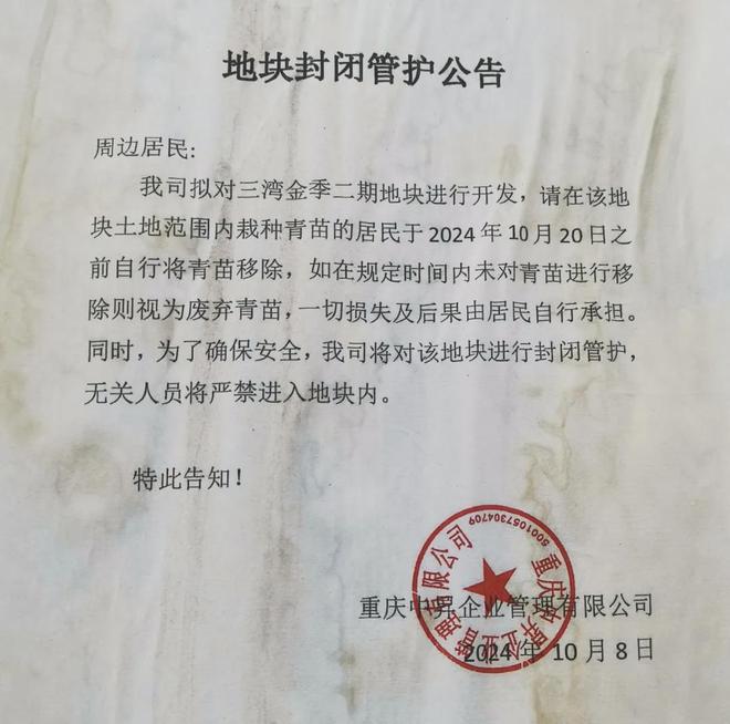 泛亚电竞观音桥惊现数栋鬼楼实地打探惊呆了意外发现观音桥要出新盘！(图24)