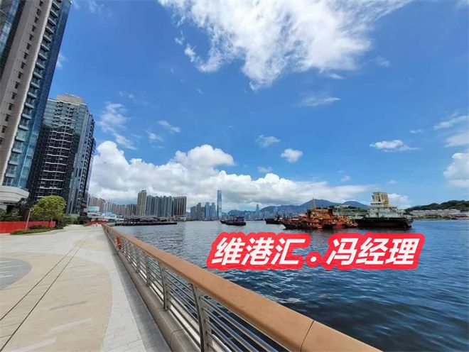 泛亚电竞香港维港汇多少钱维港汇价格多少钱一平方维港汇的房子能买吗(图2)