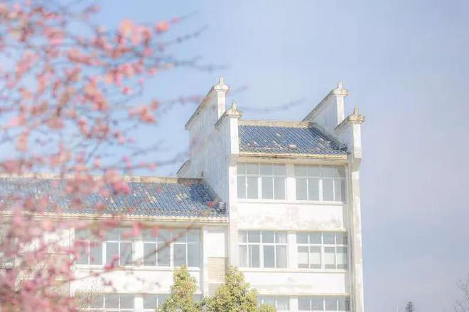 泛亚·电竞(中国)官方网站我问DeepSeek：“怎样度过大学生活不会后悔？”