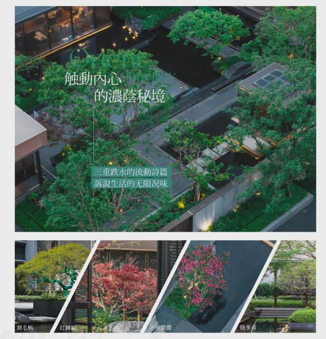 泛亚电竞『保利海上臻悦』售楼处2025官方网站-海上臻悦-官网-上海房天下(图24)