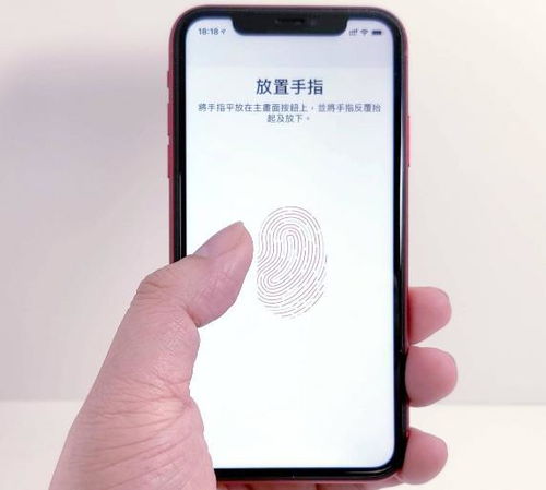 泛亚电竞为何iPhone不再采用指纹解锁技术