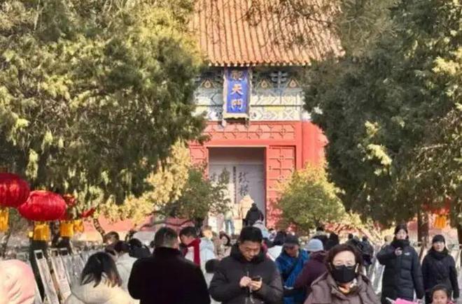 泛亚电竞赏灯游园！在泰安过元宵节这些地方藏着别样的惊喜→(图3)